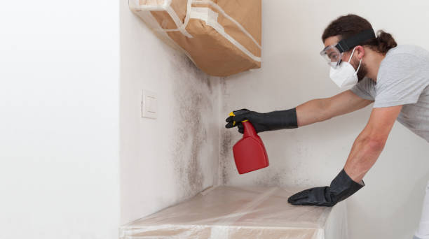 Professional Crawl Space Mold Remediation technician working in New Germany, MN