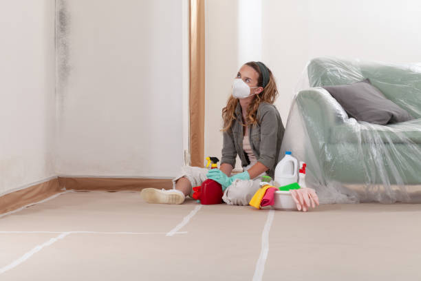 Reliable Crawl Space Mold Remediation contractor in New Germany, MN by 24 Hour Mold Removal